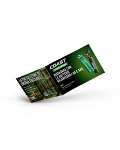 COAST Zithion-X Flyer IT